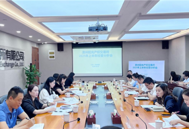 貴州陽光產(chǎn)權交易所召開2025年上半年經(jīng)營分析會