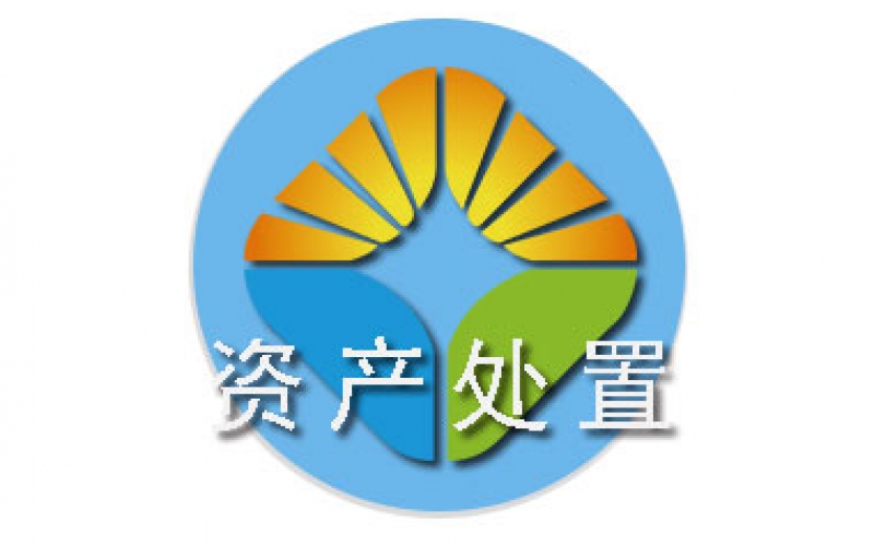 貴陽副食果品有限公司持有的寶馬X3車輛資產