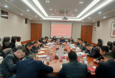 貴州陽光產(chǎn)權(quán)召開黨委（擴大）會分析研判2021年全面從嚴治黨工作