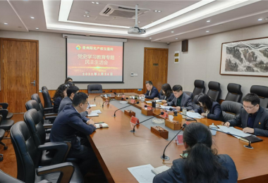 貴州陽(yáng)光產(chǎn)權(quán)黨委召開(kāi)黨史學(xué)習(xí)教育專題民主生活會(huì)