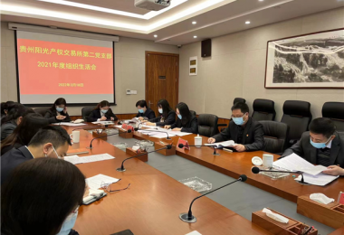 貴州陽(yáng)光產(chǎn)權(quán)黨委班子督導(dǎo)黨支部組織生活會(huì)