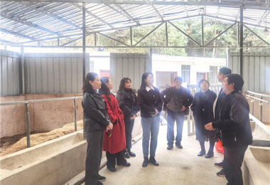 貴州陽光產(chǎn)權(quán)交易所開展鄉(xiāng)村振興調(diào)研和普法宣傳