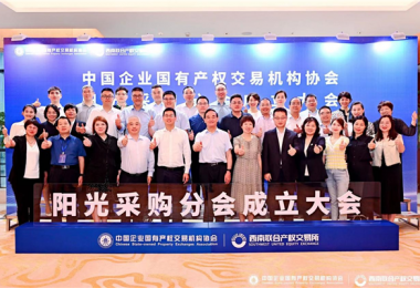 貴州陽光產(chǎn)權(quán)交易所參加中國企業(yè)國有產(chǎn)權(quán)交易機構(gòu)協(xié)會陽光采購分會成立大會